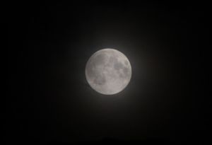 IMG_4686a